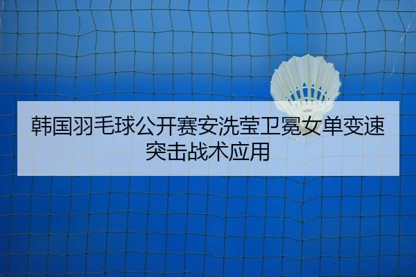 han-guo-yu-mao-qiu-gong-kai-sai-an-xi-ying-wei-mian-nv-dan-bian-su-tu-ji-zhan-shu-ying-yong-3-403.jpg